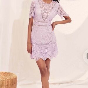 Saylor Darian Lace Lavender Dress Size XS NWT